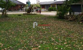 Imagem 4: Pelegrino Imóveis vende sítio em Tapes