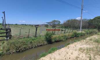 Imagem 7: Pelegrino Imóveis vende sítio no Balneário Rebello em Tapes