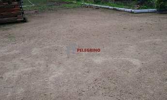 Imagem 7: Pelegrino Imóveis vende sítio em Tapes