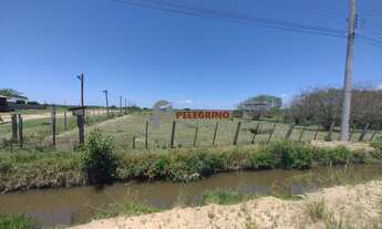 Imagem 2: Pelegrino Imóveis vende sítio no Balneário Rebello em Tapes