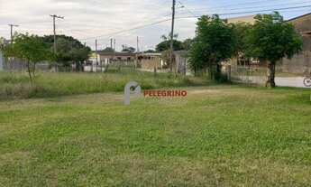 Imagem: Pelegrino Imóveis vende terreno no Centro