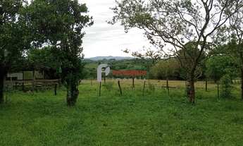 Imagem 7: Pelegrino Imóveis vende sitio em Sentinela do Sul