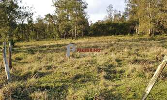 Imagem 3: Pelegrino Imóveis vende chacára na BR 116