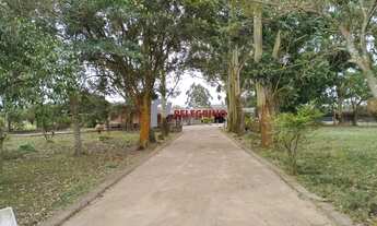 Imagem 2: Pelegrino Imóveis vende sítio em Tapes