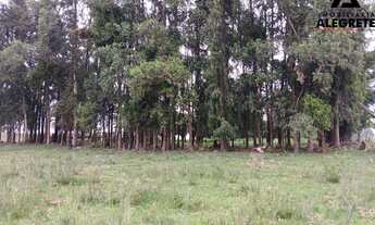 Imagem 4: Chacará a venda com 3 hectares