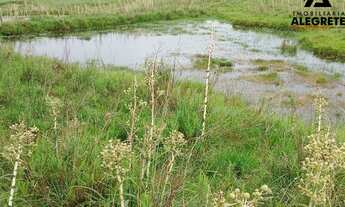 Imagem 6: Chacará a venda com 3 hectares