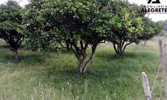 Imagem 3: Chacará a venda com 3 hectares