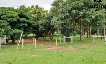 Imagem 7: Chacará a venda com 3 hectares