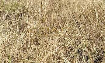 Imagem: Terreno à venda Anápolis City Anápolis/GO