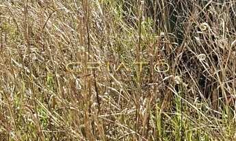 Imagem 4: Terreno à venda Anápolis City Anápolis/GO