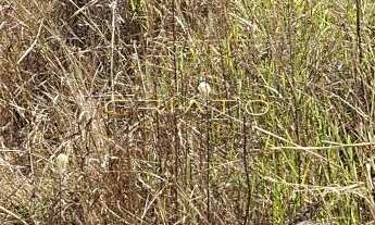 Imagem 2: Terreno à venda Anápolis City Anápolis/GO