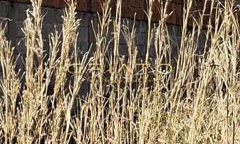 Imagem 5: Terreno à venda Anápolis City Anápolis/GO