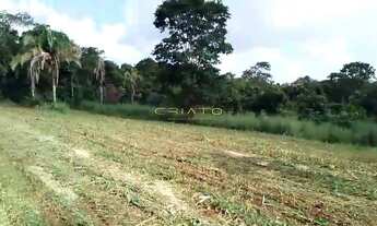 Imagem: 4 hectares limpo (40.000m²) Terreno em