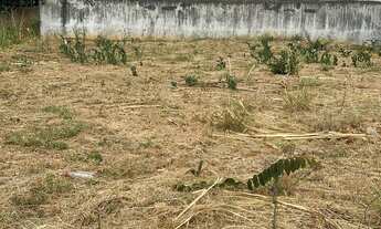 Imagem: Lote Parque das Primaveras Bem Localizado