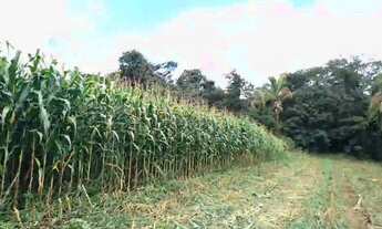 Imagem 6: ????4 hectares limpo (40.000m²) Terreno em Corumbá de Goiás