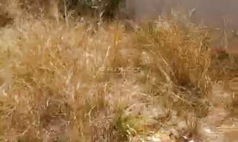 Imagem 4: Terreno Residencial para Venda Residencial Morumbi, Anápolis