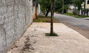 Imagem 4: EXECELENTE LOTE PARA COMERCIO TODO MURADO