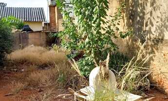 Imagem 5: Terreno à venda, 305 m² por R$ 320.000,00 - Jundiaí - Anápolis/GO