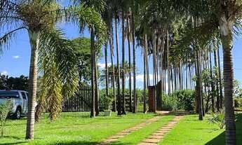 Imagem 5: Chácara com 4 dormitórios à venda, 6000 m² por R$ 1.250.000 - Zona Rural - Campo