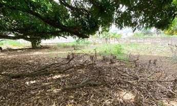 Imagem 6: Área a venda no Jardim Alexandrina 3,160 mts², R$ 4.500.000,00, Anápolis Goias