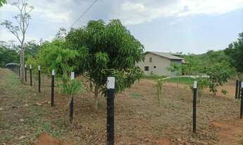 Imagem 7: Chácara com 2 dormitórios à venda, 20000 m² por R$ 630.000,00 - Zona Rural - Pir