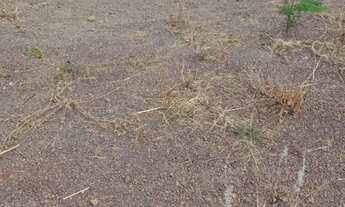 Imagem: Terreno à venda, 200 m² por R$ 85.000,00