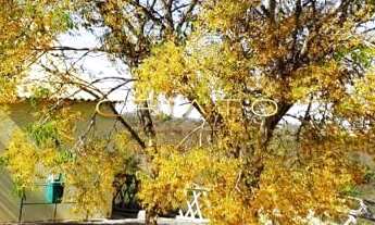 Imagem: Chácara à venda, 193600 m² por R$ 4milhões