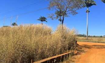 Imagem 3: Chácara com 2 dormitórios à venda, 23000 m² por R$ 1.200.000,00 - Jardim Eldorad