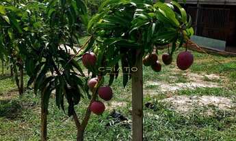 Imagem 2: Chácara com 3 dormitórios à venda, 6300 m² por R$ 450.000,00 - Rural - Abadiânia