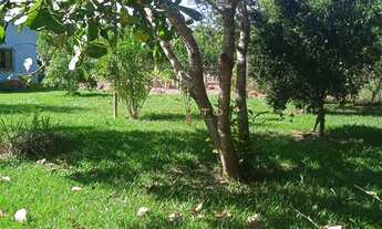 Imagem 4: Vendo Chácara com Mercado