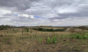 Imagem 6: Excelente Área para Construir Empresa no Daia