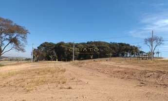 Imagem 3: Lote Disponível no Loteamento Fechado Reserva 153