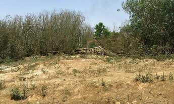 Imagem 3: Excelente Lote no privê lirios do campo