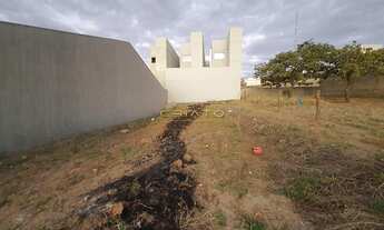 Imagem 6: Lote Bairro Setor Sul Jamil Miguel 375m² R$ 200.00 em Anápolis