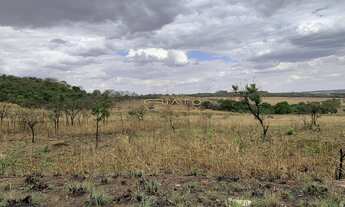 Imagem 7: Excelente Área para Construir Empresa no Daia