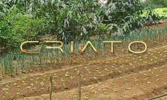 Imagem 3: VENDA LOTE CALDAS NOVAS