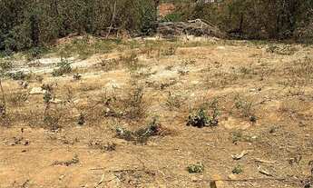 Imagem 2: Excelente Lote no privê lirios do campo