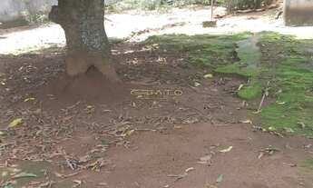 Imagem 3: Lotes de oportunidade, que podem ser vendidos separadamentes