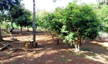 Imagem 7: ???? Chácara à Venda – 2.000m² de Tranquilidade e Conforto