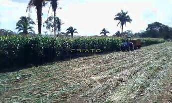 Imagem 3: ????4 hectares limpo (40.000m²) Terreno em Corumbá de Goiás