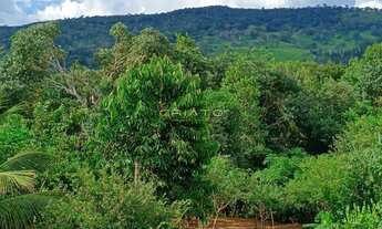 Imagem: CHACARA A VENDA EM PIRINOPOLIS