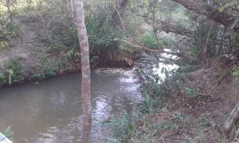 Imagem 3: Chacara Com Córrego a venda