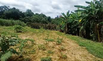 Imagem: Chácara 3 dormitórios à venda Zona Rural