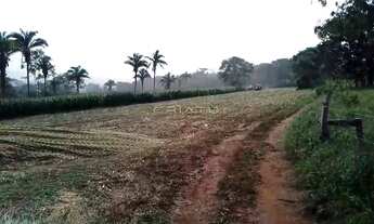 Imagem 2: ????4 hectares limpo (40.000m²) Terreno em Corumbá de Goiás
