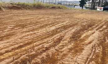 Imagem 5: Lote Excelente no Setor Jamil Miguel