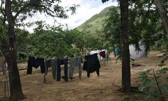 Imagem 6: Terra pra Pecuária 70 % Permuta