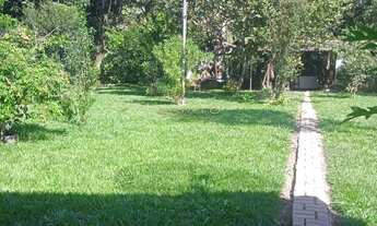 Imagem 3: Vendo Chácara com Mercado