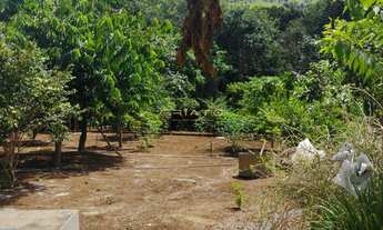 Imagem 6: CHACARA A VENDA EM PIRINOPOLIS