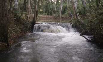 Imagem: Chácara 4 dormitórios à venda Santos