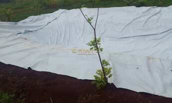 Imagem 6: Chácara 2 dormitórios à venda Zona Rural Campo Limpo de Goiás/GO